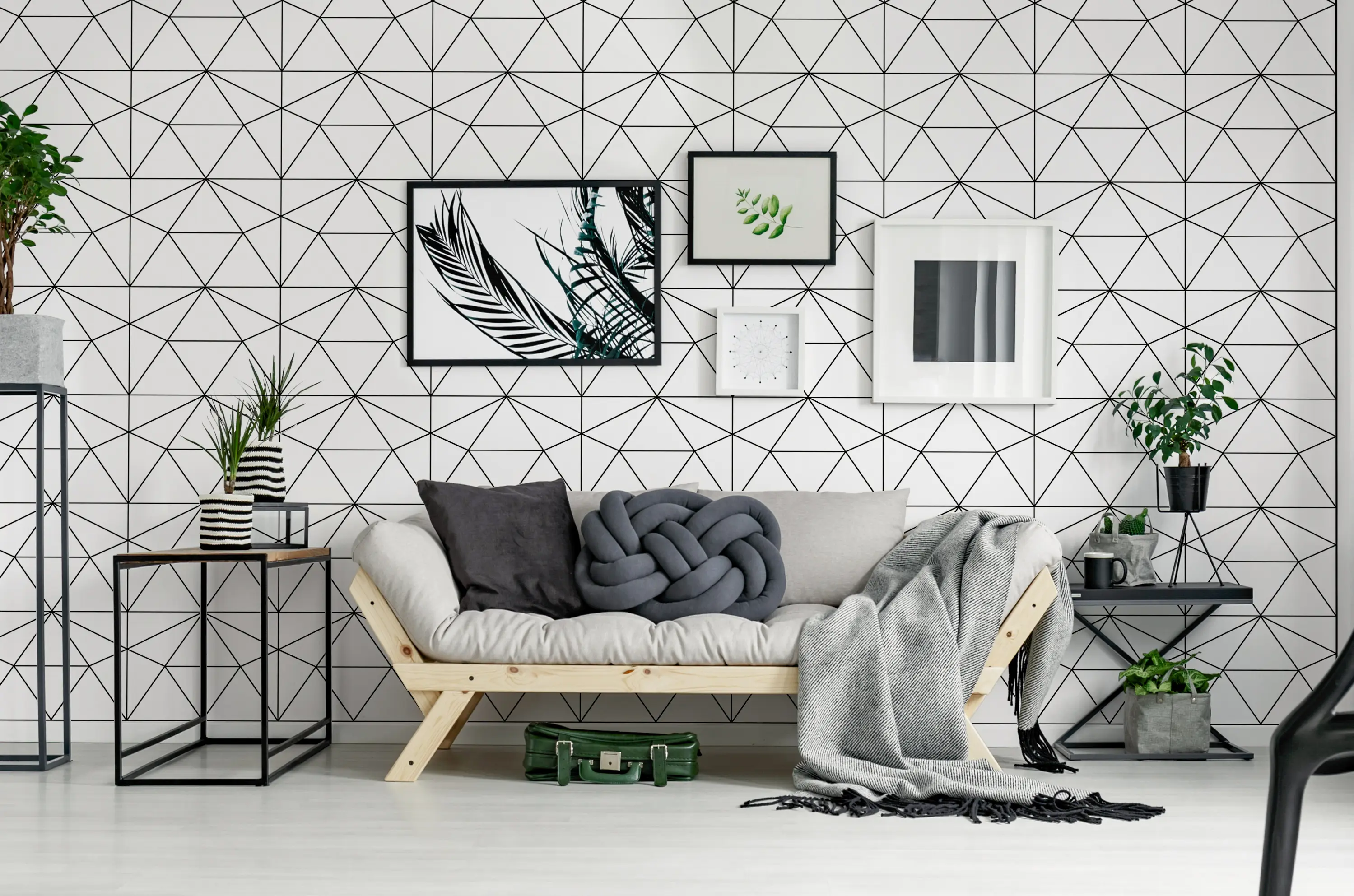 black-and-white-interior-living-room-sofa-